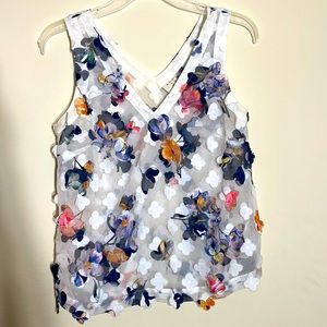 A new day sheer blouse